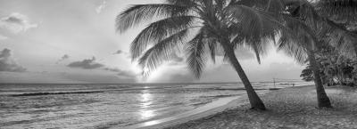 9784444/karibik-barbados-insel-istock-34909894-large_1712564855516.jpg