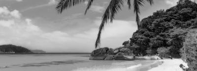 9784444/strand-palmen-gettyimages-490560239-erweitert_1712564904312.jpg