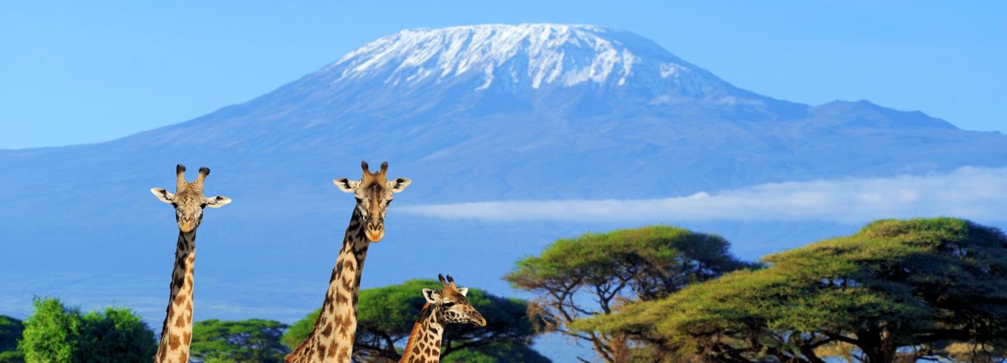 © Eurotours Kenia - Baden