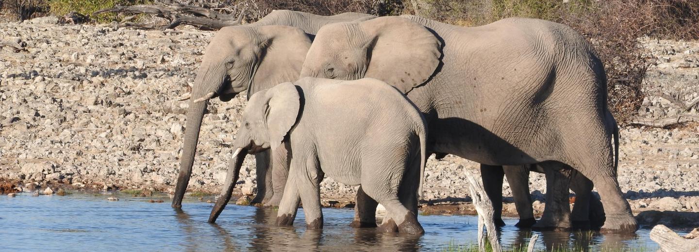 © Eurotours Kenya - szafari & tengerparti nyaralás