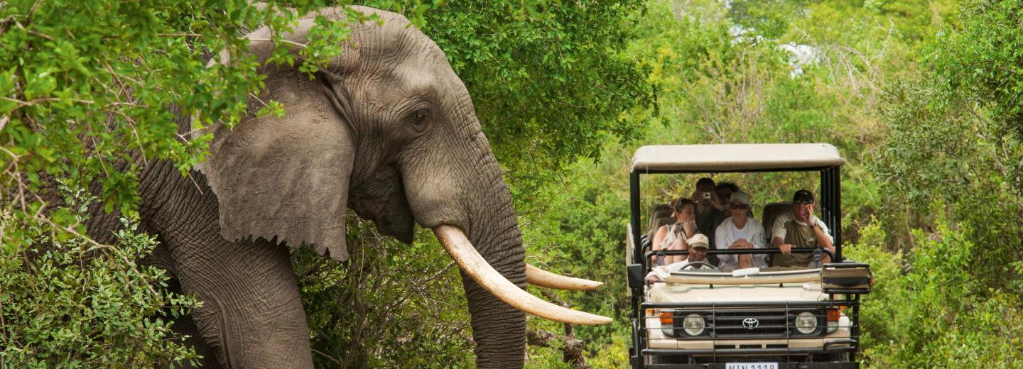 © Eurotours Kenya - szafari & tengerparti nyaralás