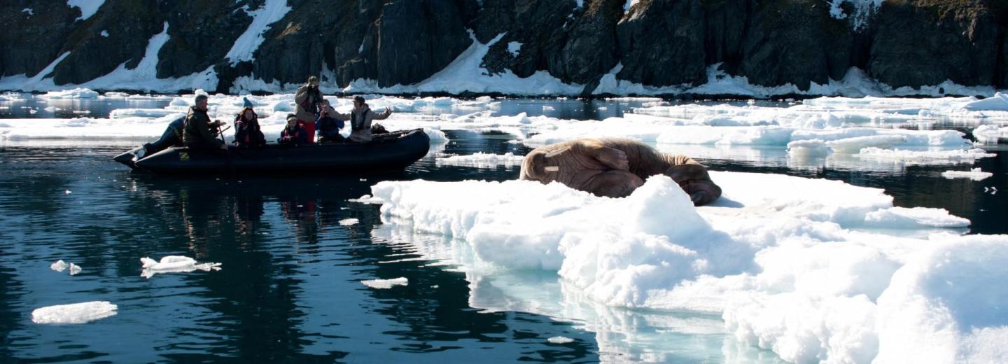 © Erwin Vermeulen Spitzbergen & Oslo - Expeditionskreuzfahrt & City-Trip