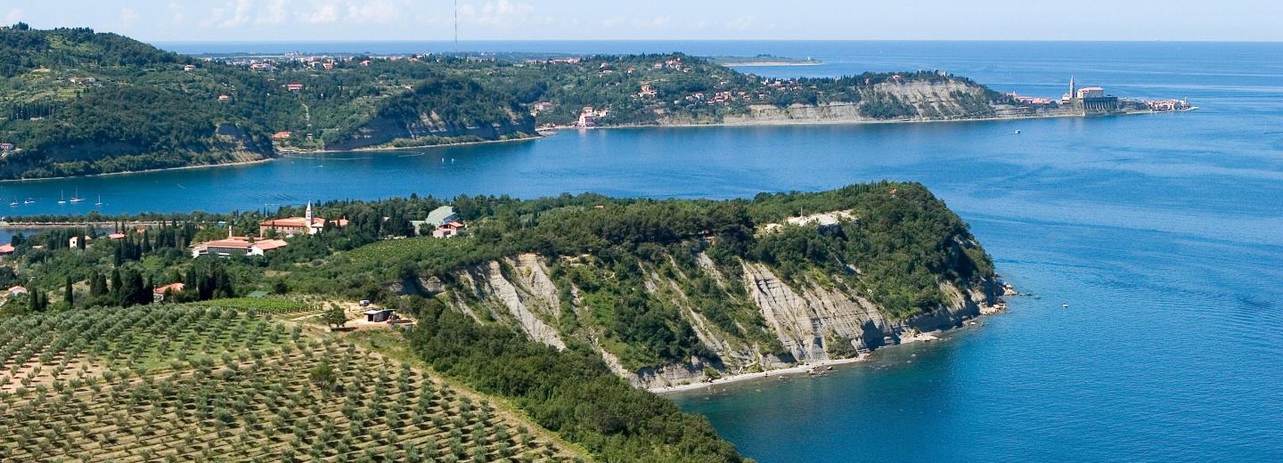 © Portoroz Tourist Board / Jaka Jerasa Portorož