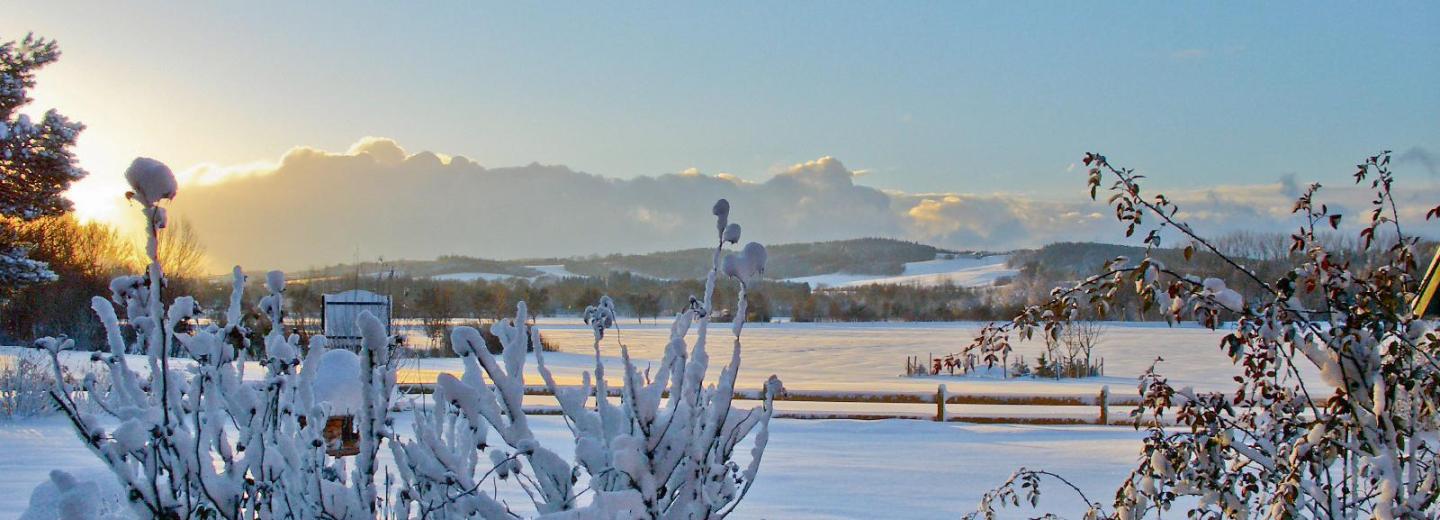 © Bad Birnbach / Annemarie Mayer Bad Birnbach