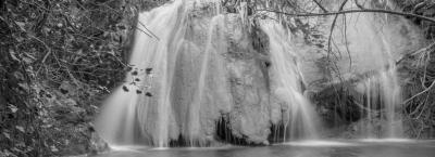 9800079/hedera-rabac-400004059-050822-38470-1_1729858293195.jpg