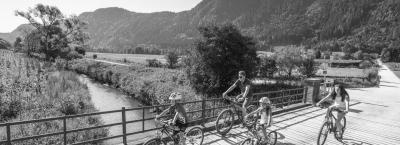 9814098/022-17-cfranzgerdl-bpnb-fe-3286_1739202269609.jpg