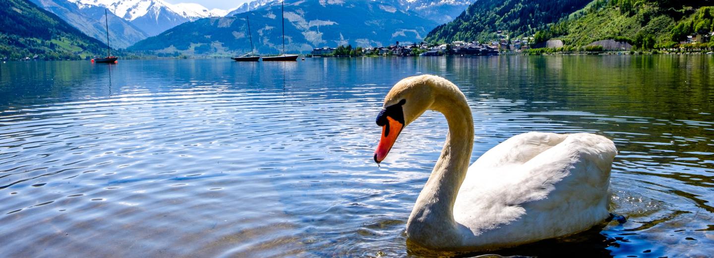© Eurotours Zell am See