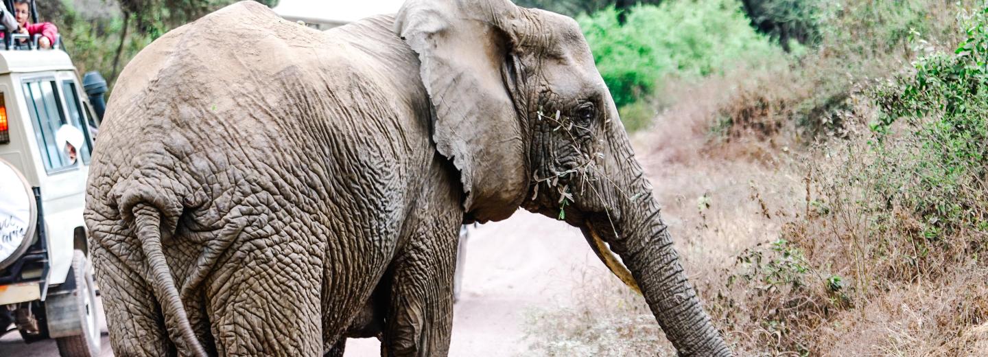 © Eurotours Tanzánia & Zanzibár - szafari és tengerparti nyaralás