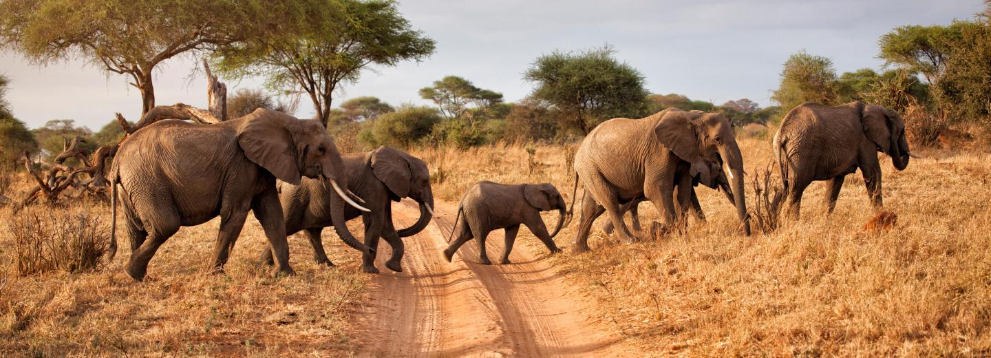 © Eurotours Südafrika - Highlights zwischen Natur und Stadt