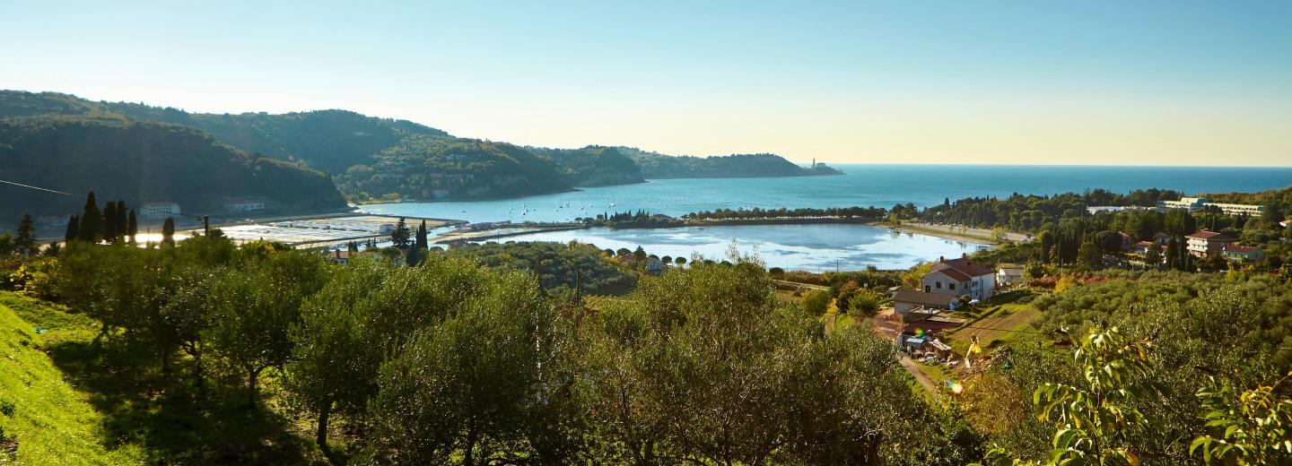 © Tourismus Verband Portoroz / Nik Jarh Portorož