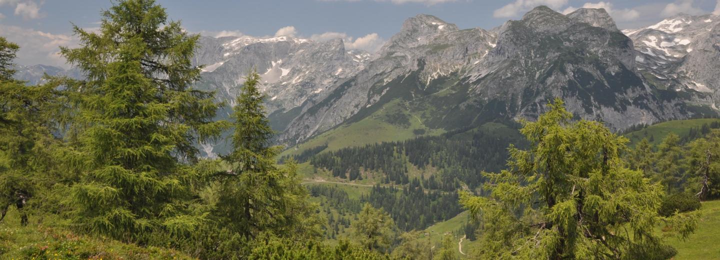 © Eurotours St. Martin am Tennengebirge