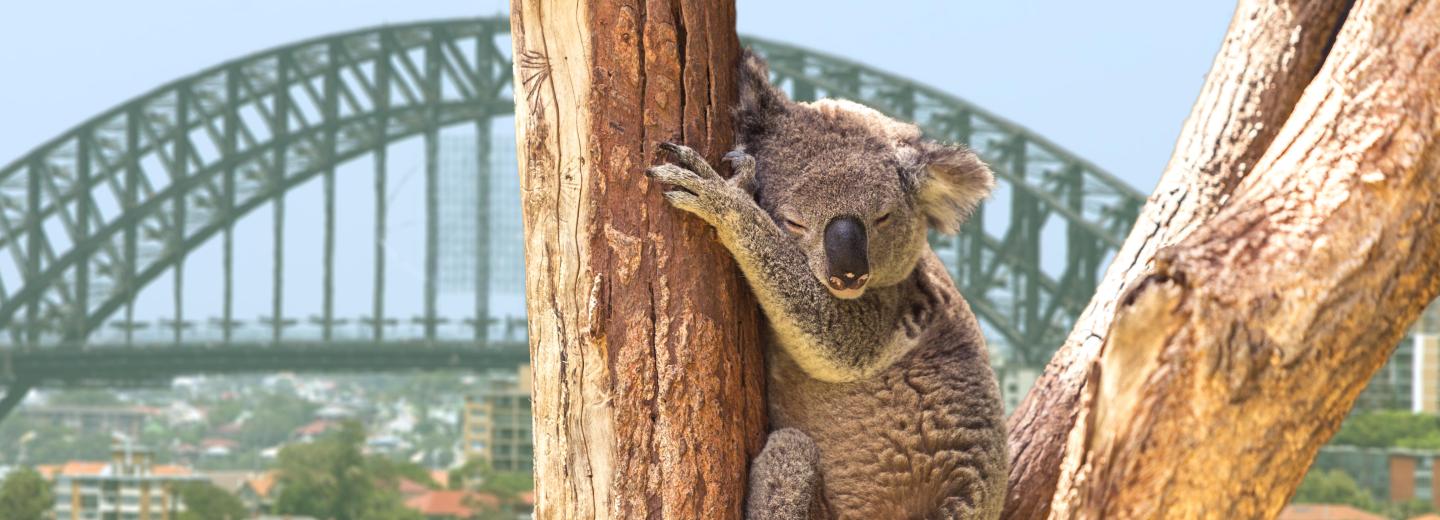 © Eurotours Ausztrália, Hawaii és Kanada - transzpacífiai körutazás és városi kirándulás