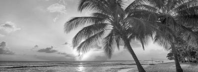 9821165/karibik-barbados-insel-istock-34909894-large_1750758650265.jpg