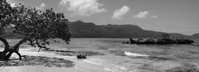 9821165/samana-gettyimages-501864761-0_1750758720452.jpg
