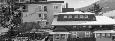 9821173/stadlmuhle-bruck-an-der-glocknerstrasse-211020-12956-1_1750770200656.jpg