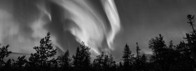 9821292/nordlichter-fotolia-95619230-x-c-petejau-erweitert_1751295115476.jpg