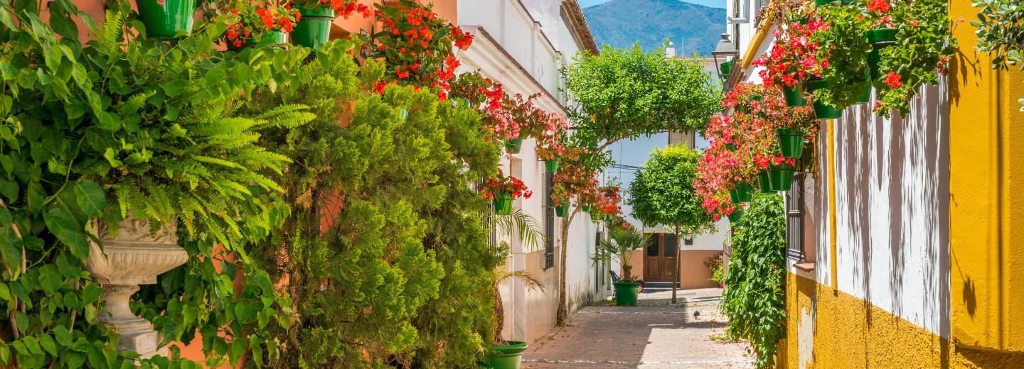© Eurotours Körülbelül Nyugat-Európában - Hajóút