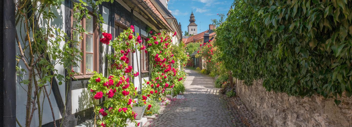 © Eurotours Balti-tengeri - hajóút