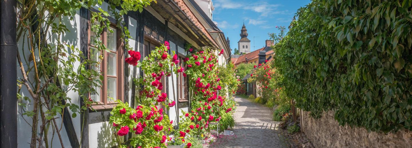 © Eurotours A Balti-tenger legszebb látnivalói - körutazás