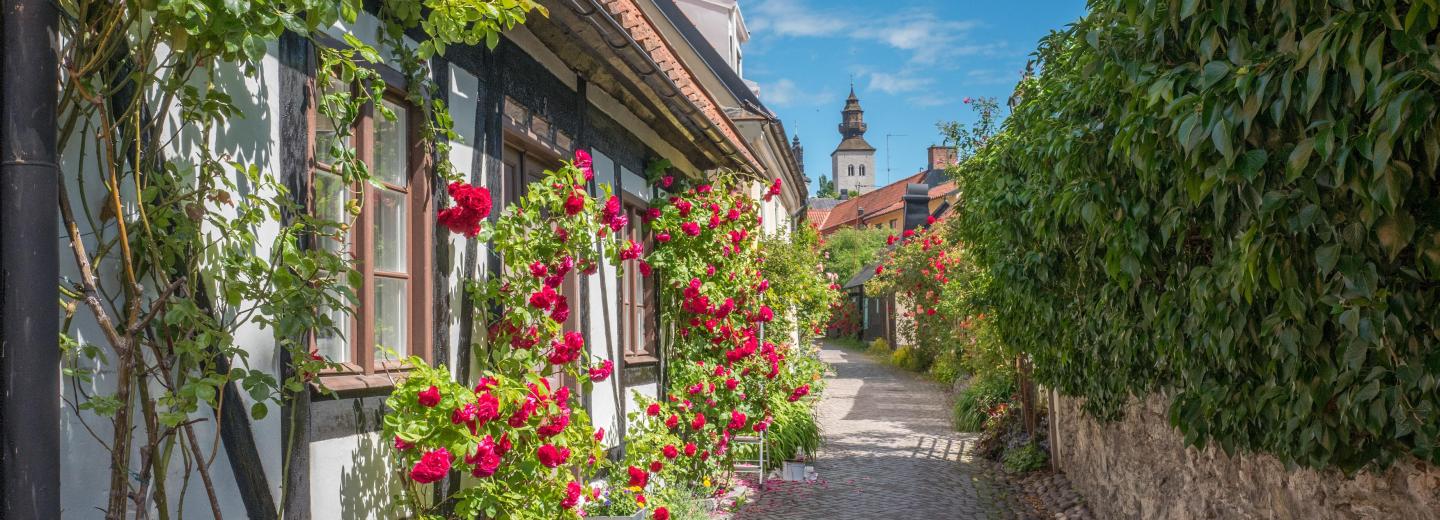 © Eurotours A Balti-tenger gyöngyszemei – hajóút