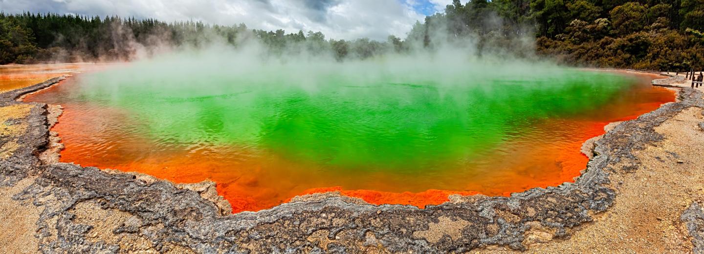 © Eurotours Rotorua