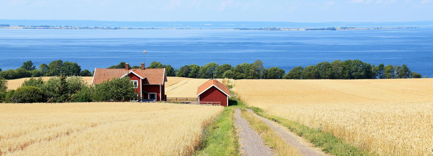 © Eckhard Heybrock Vätternsee