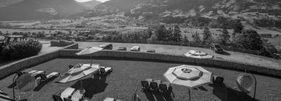 9823649/hoppet-hart-im-zillertal-100920-15701-9_1755856649113.jpg
