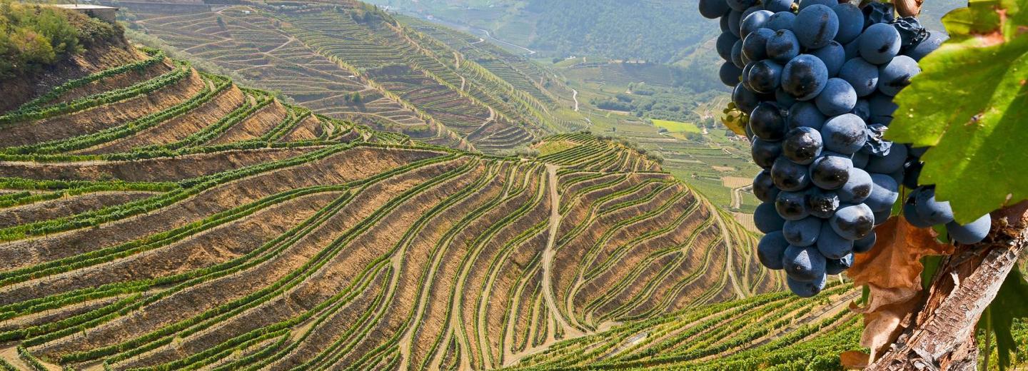 © Eurotours Észak-Portugália - Repülj, vezess és aludj!