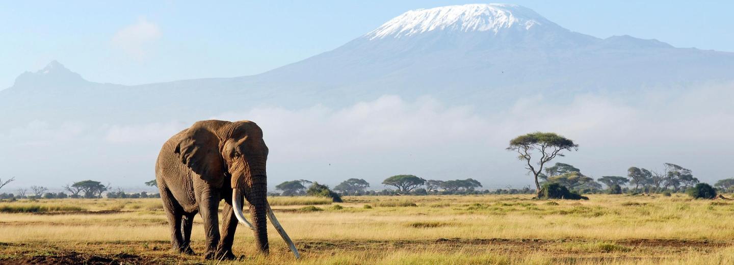 © Eurotours Kenya - Szafari és tengerpart