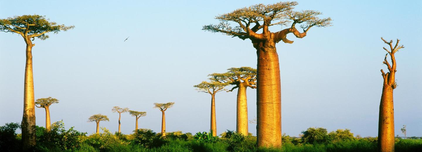 © Eurotours Madagaszkár - Körutazás és fürdőzés