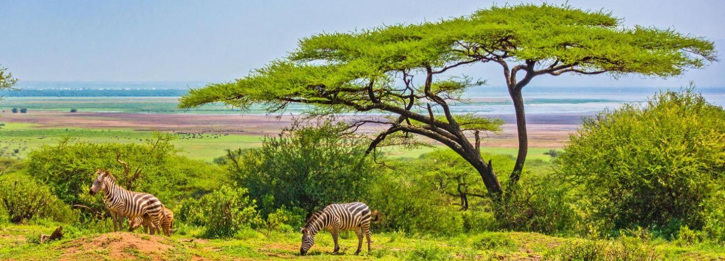 © Eurotours Kenya és Tanzánia - Kelet-Afrika legszebb helyei - Körutazás, szafari és úszás