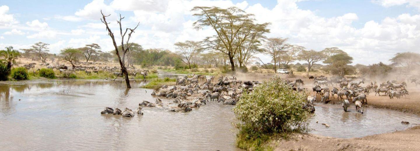 © Eurotours Kenya és Tanzánia - Kelet-Afrika legszebb helyei - Körutazás, szafari és úszás