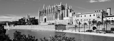 9824677/mallorca-palma-cpetrab-fotolia-32757794-x-erweitert-1-_1758194928794.jpg