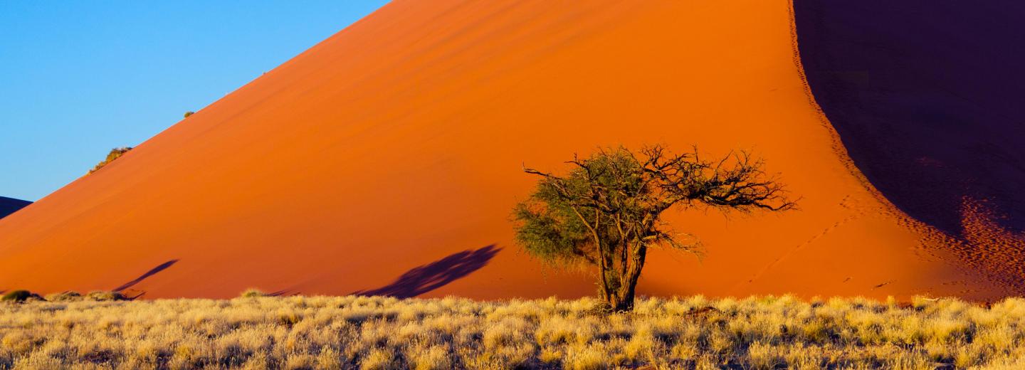 Namíbia - Oda-vissza út és szafari