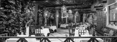 9824830/restaurant-v-3-_1758295956942.jpg