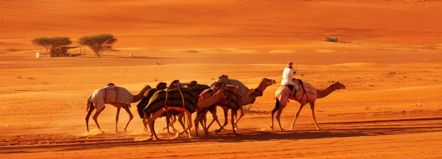 Omán - körutazás és fürdőzés