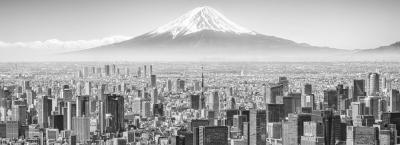 9826857/tokyo-skyline-fuji-gettyimages-1387616822_1759224554037.jpg