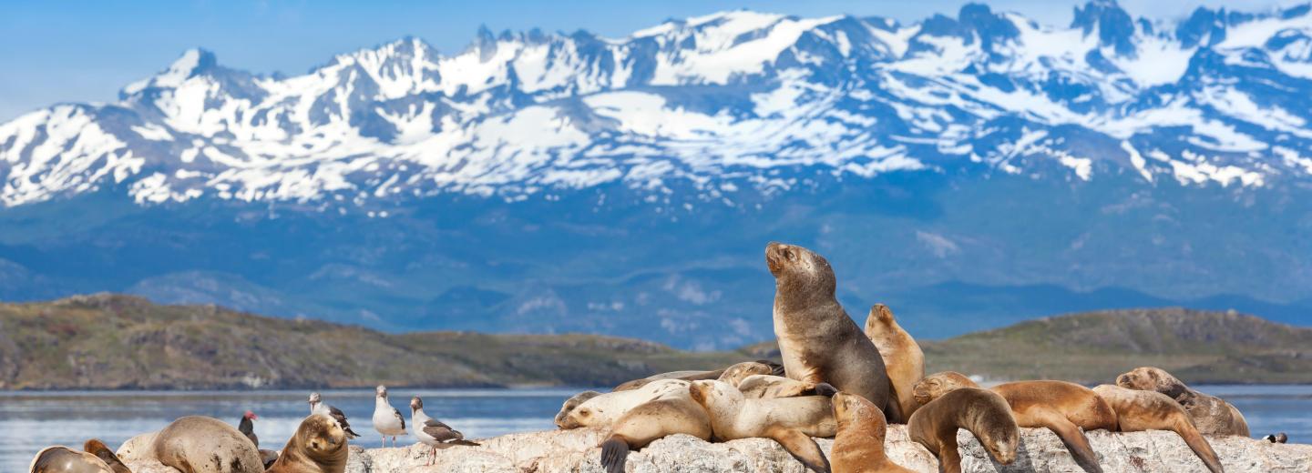 Ushuaia, Argentinien