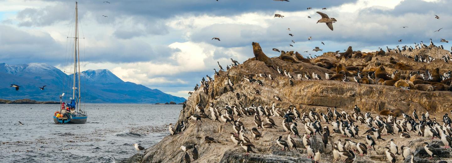 Beagle-Kanal, Argentinien