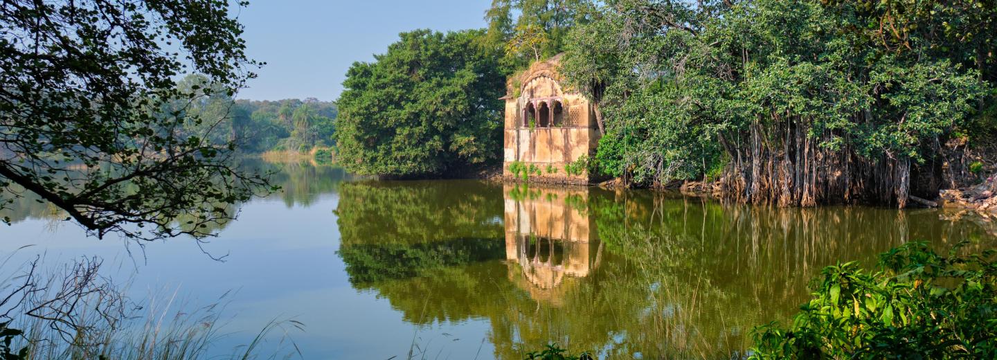 © Eurotours Ranthambhore-Nationalpark