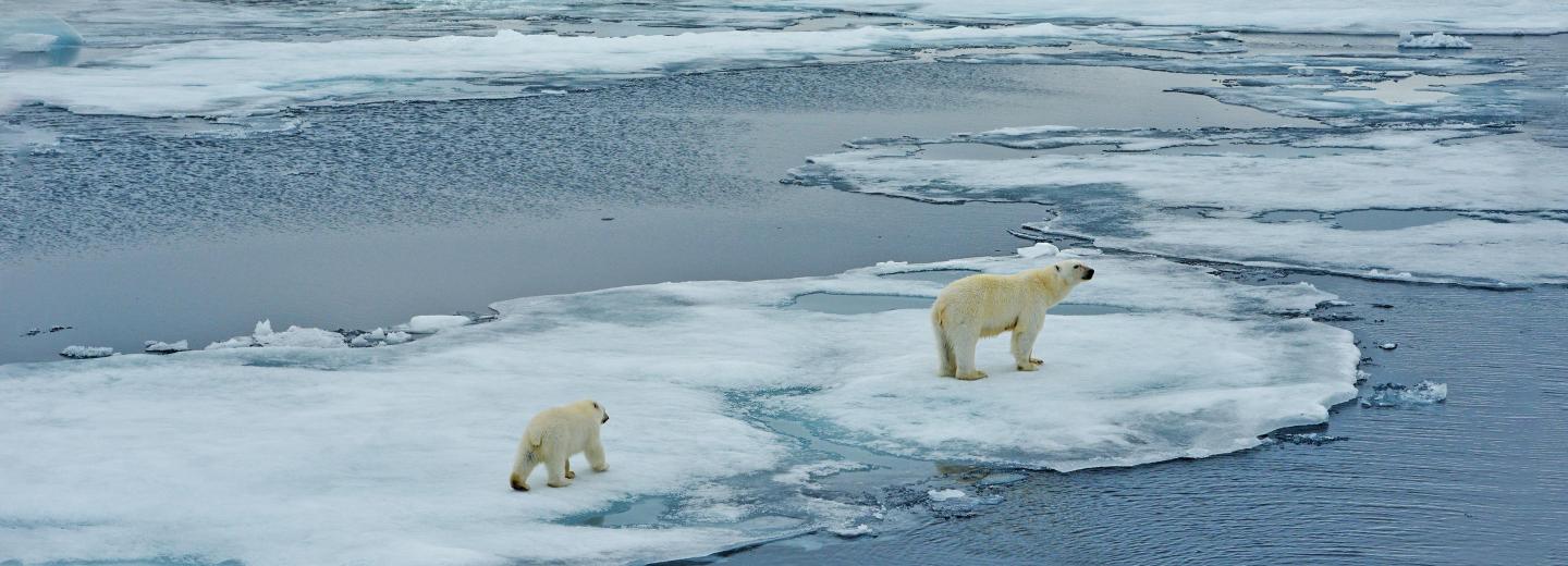 Hurtigruten Signature - Von Oslo nach Spitzbergen - Kreuzfahrt