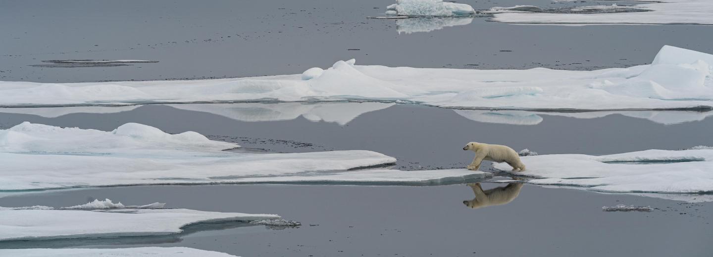 Expedition Grönland - Le Lyrial*****