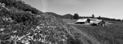 9827163/altenmarktzauchensee-sommer10-19-0_1760360920797.jpg