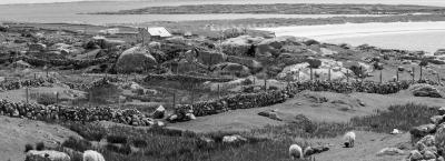 9827202/vbg221663-landschaft-in-irland_1760435976749.jpg
