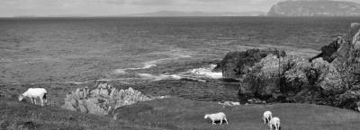 9827202/vbg27739-irland_1760435895672.jpg