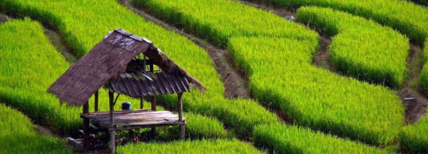 Észak-Thaiföld és Ko Samet – körutazás és fürdőzés