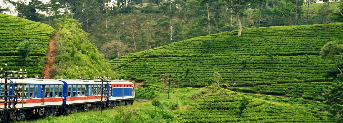 Vonatút a felvidékre 