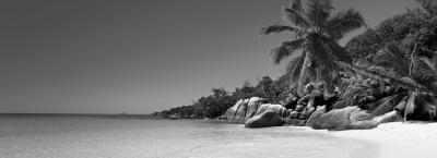 9827679/praslin-seychellen-gettyimages-455112565_1760433324153.jpg