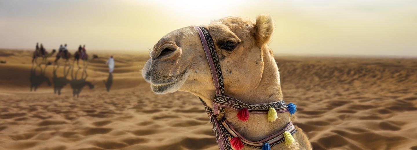 Dubaj - városi kirándulás