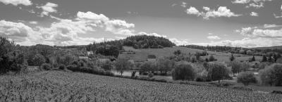 9827787/vbg26648-weinberge-in-burgund_1761729389862.jpg